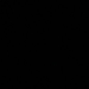 Meet your Posher, Ruth